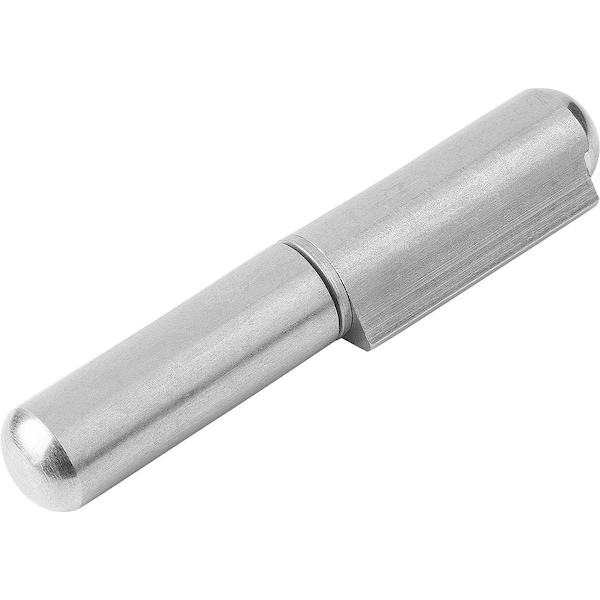 Hinge Weldable Form:A 20X100, D=16, Stainless Steel Bright, Comp:Stainless Steel